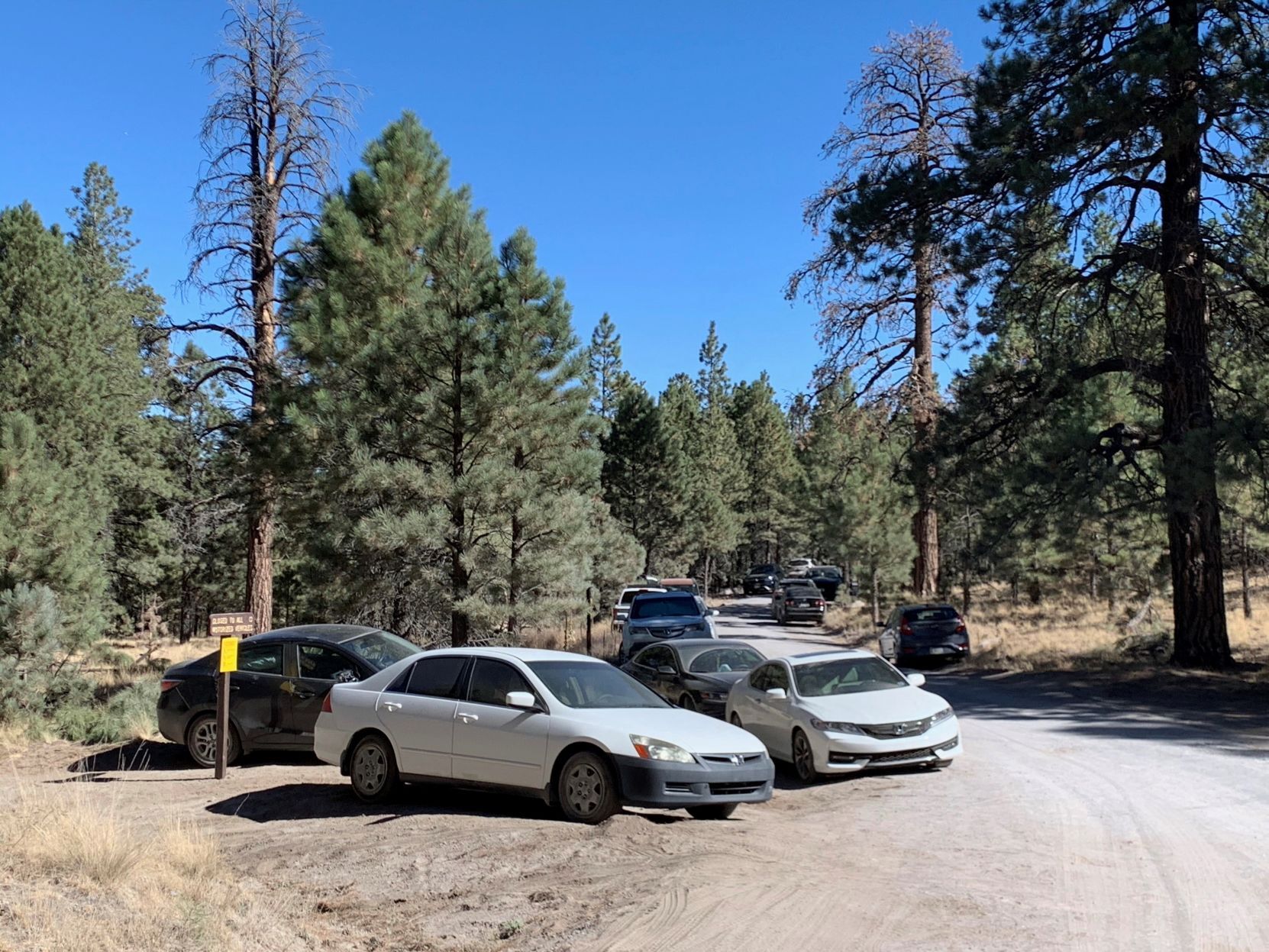 Lockett Meadow Road